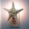 Real Starfish Night Light Knobby Starfish Nautical Night Light Beach Night Light Plug in Bathroom Night Light Seashell Light Nautical Night Light Plug in